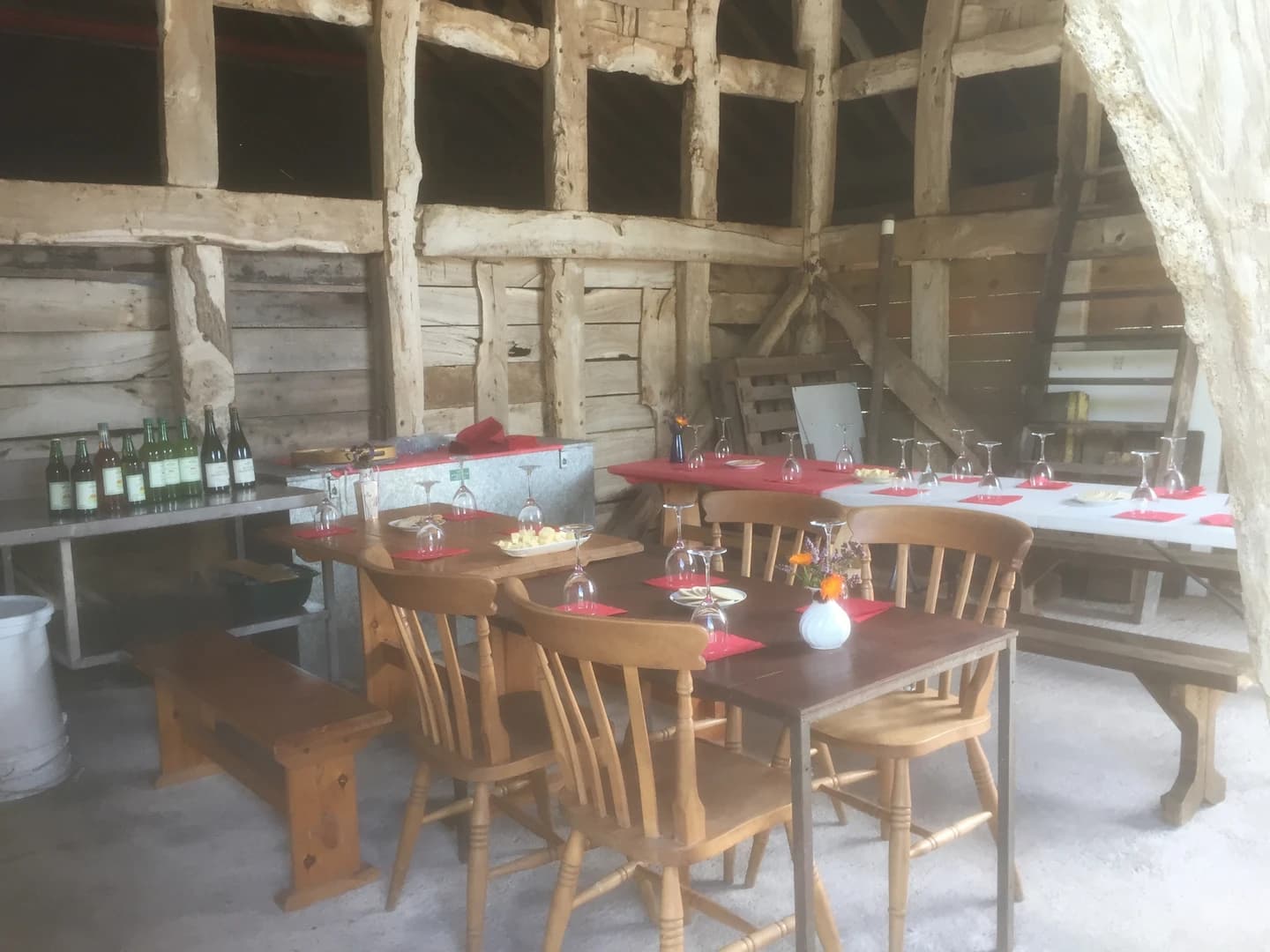 Guided tasting session with organic ciders