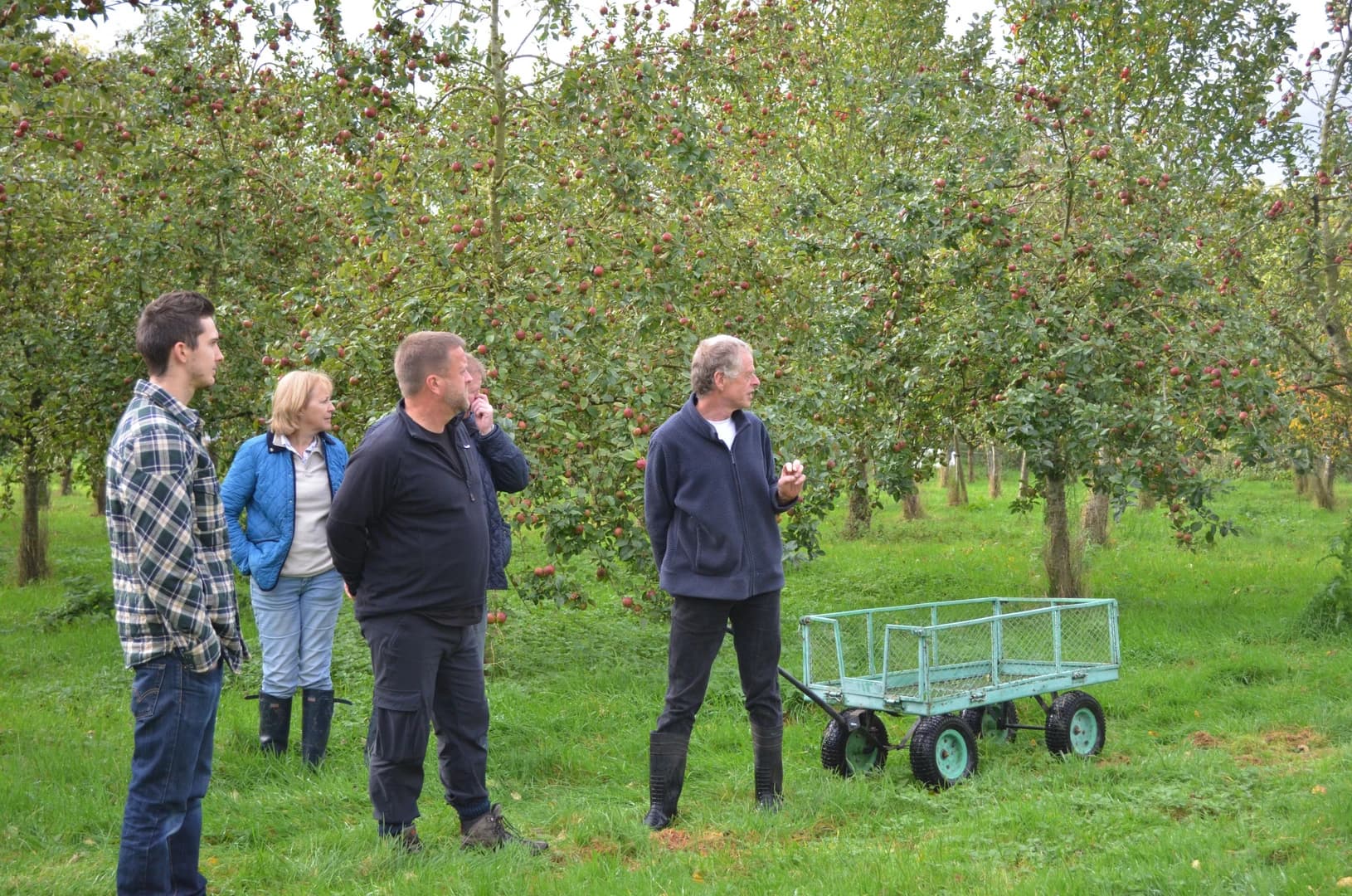 Visitors in the orchard