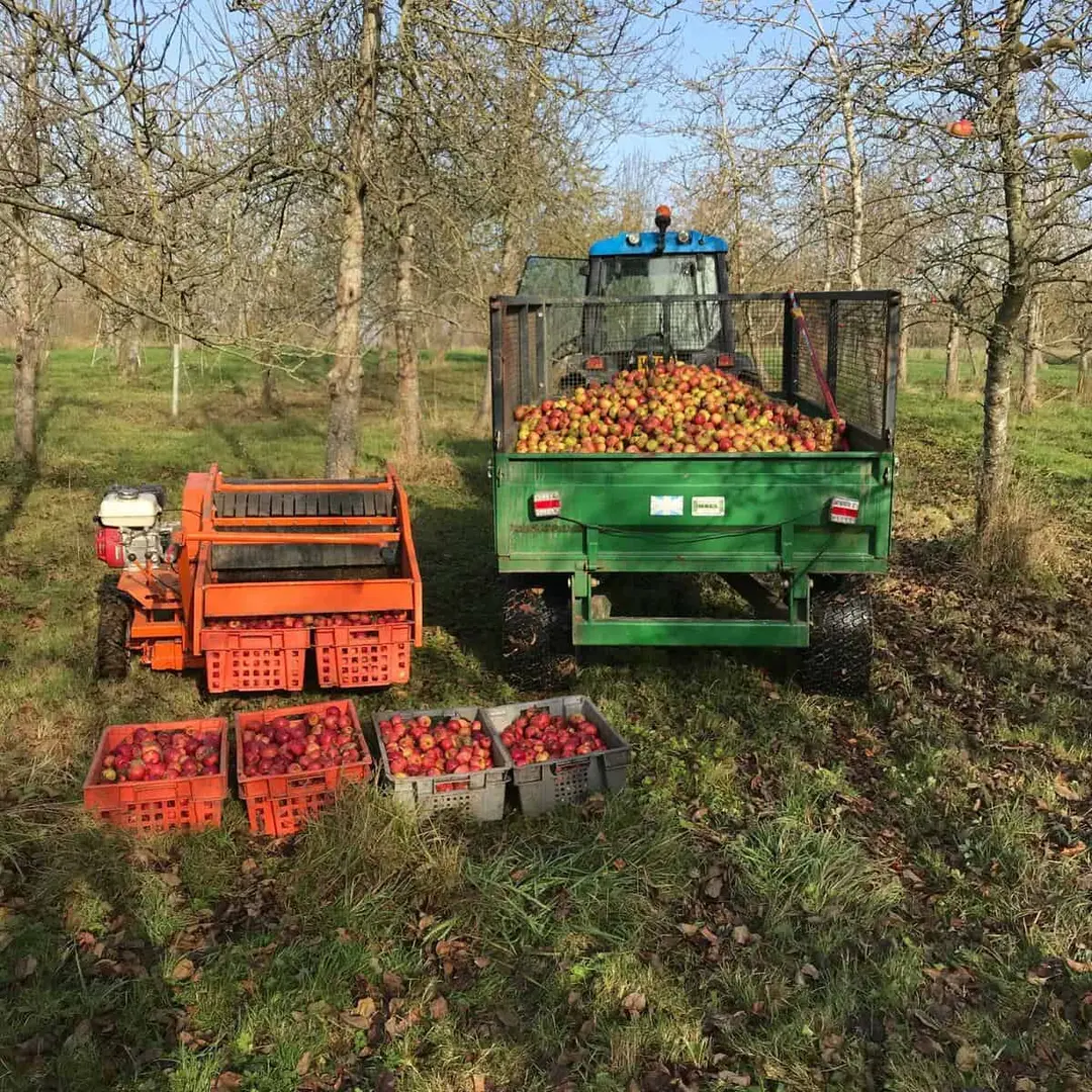 tractor-picking-apples